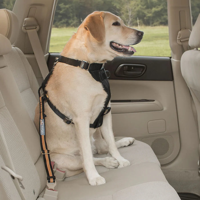 Seatbelt Secure -Dogs