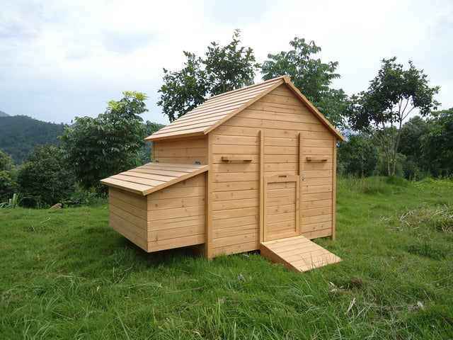 6 to 12 Hen Chicken Coop - CC002H - Very Large House