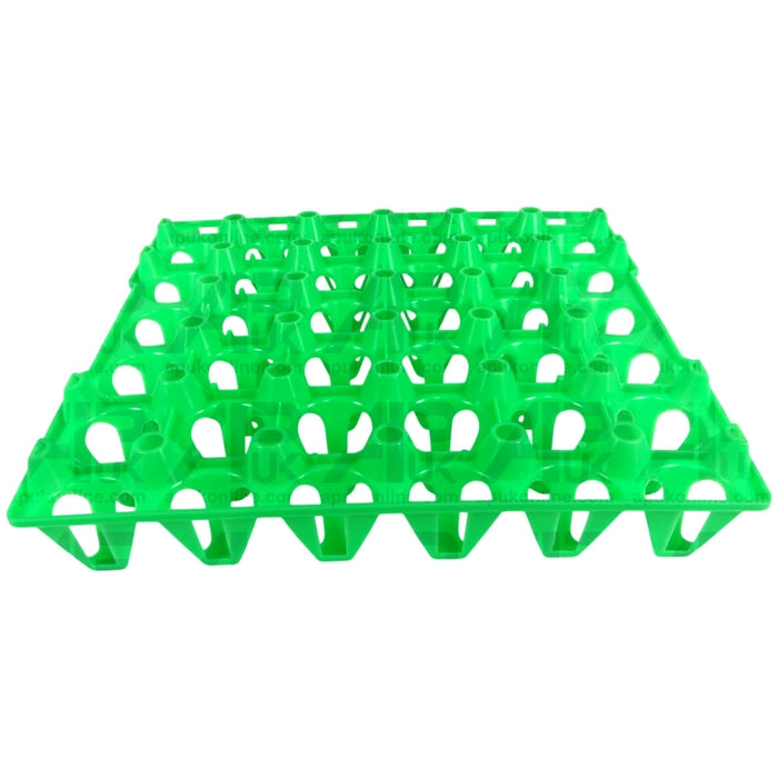 Egg Tray - Light Green