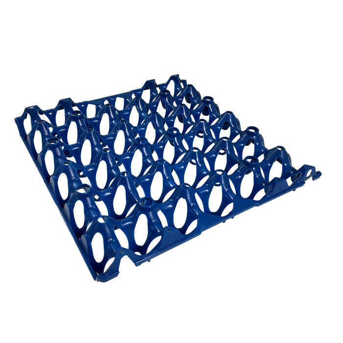 Egg Tray - Eton Blue
