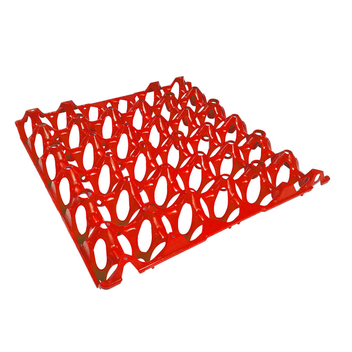 Egg Tray - Eton Orange