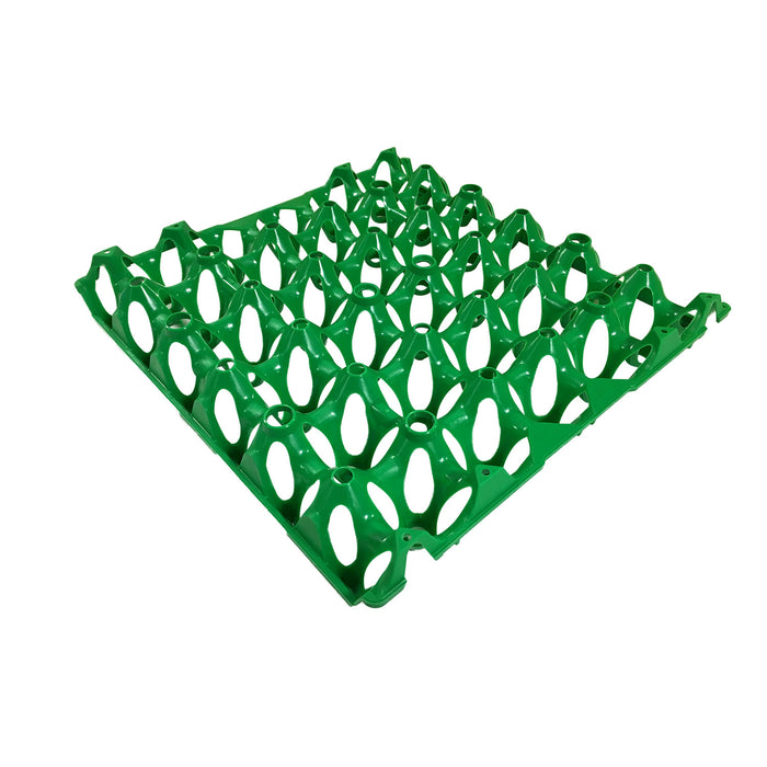 Egg Tray - Dark Green