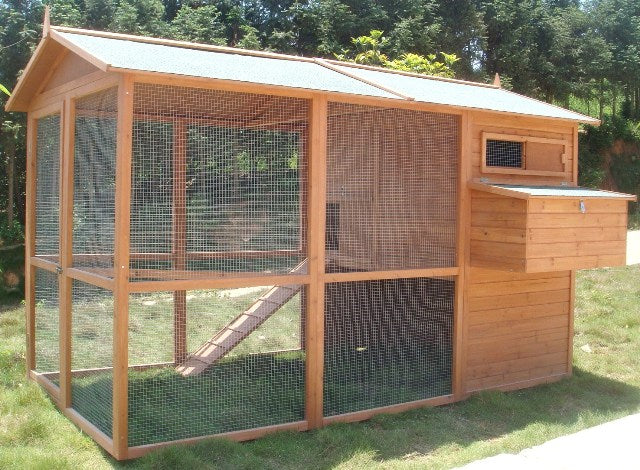 CC058 6 to 12 hens