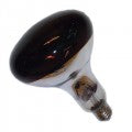Infra Red 250w Bulb