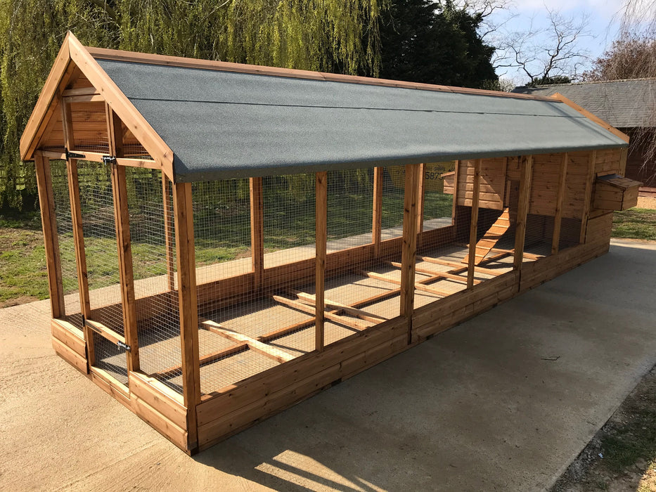 The Buckingham 6 to 12 hens Walk In Design - UK made