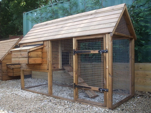 Berkeley 4 to 6 hens