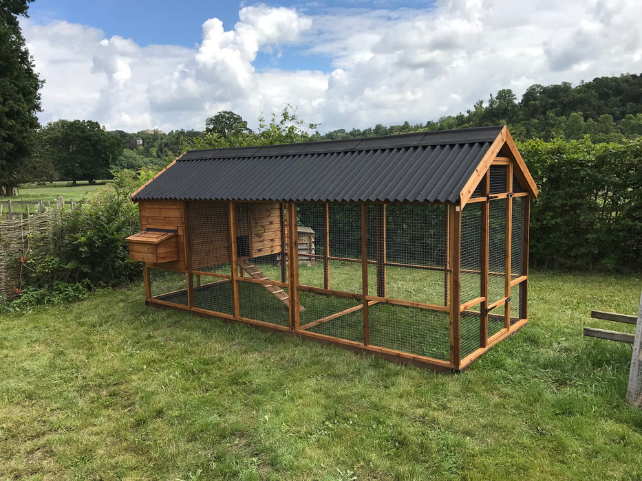 The Buckingham 6 to 12 hens Walk In Design - UK made