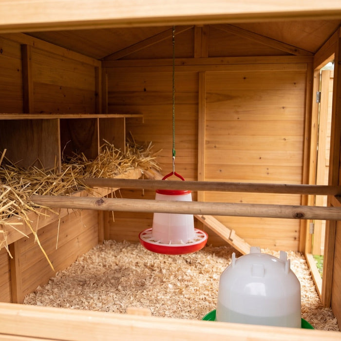 Interior of a wooden chicken coop with nest boxes, perch, feeder and drinker