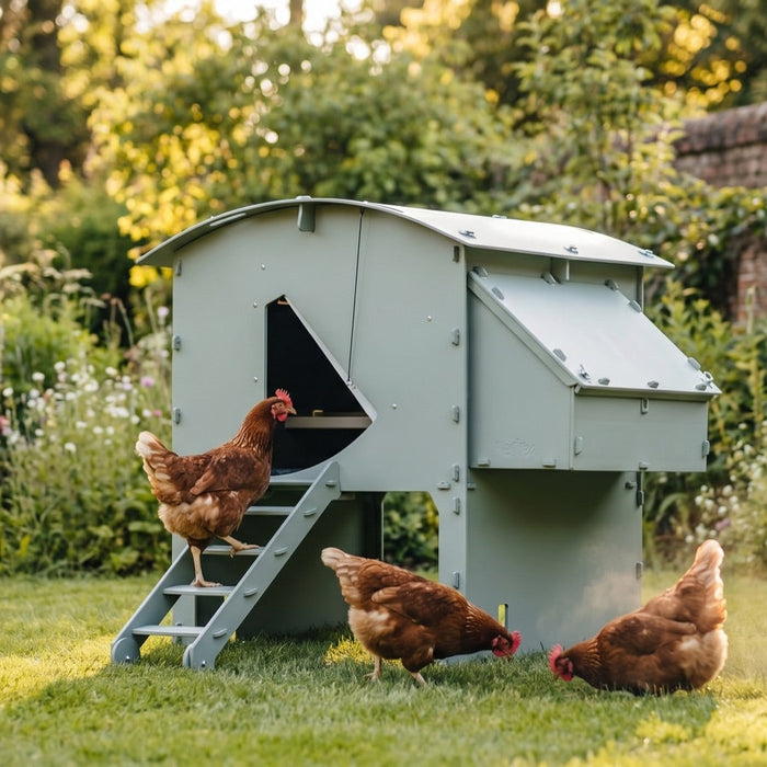Hens outside a plastic chicken coop in a garden