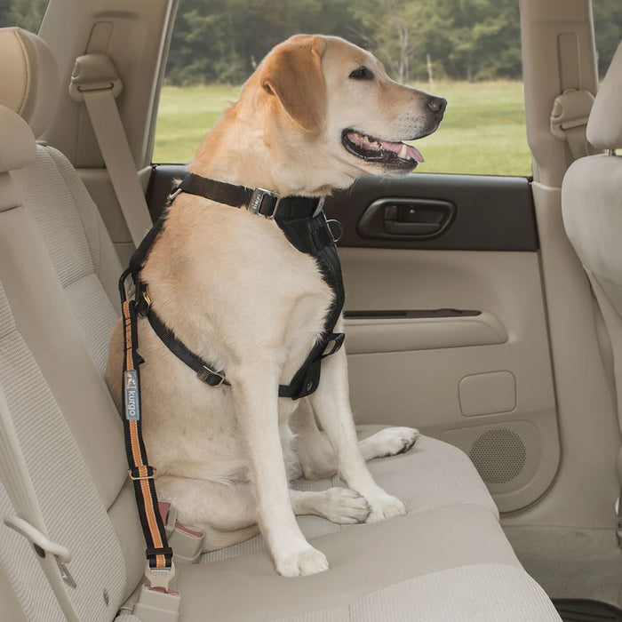 Seatbelt Secure -Dogs