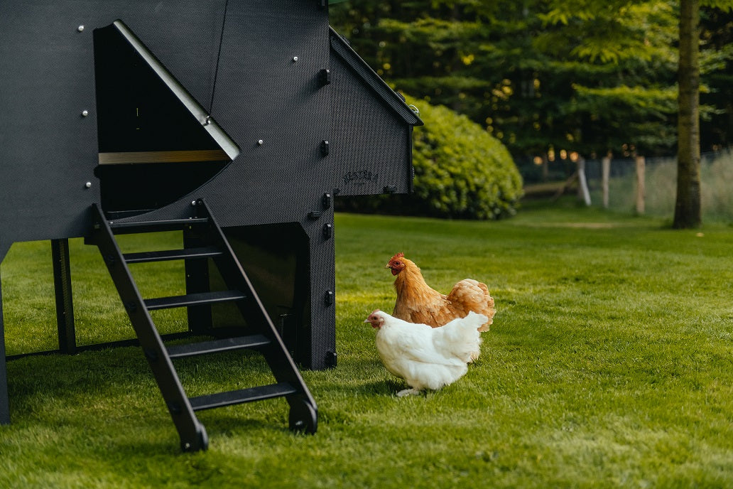 Nestera Lodge Chicken House (Large 5-9 hens)