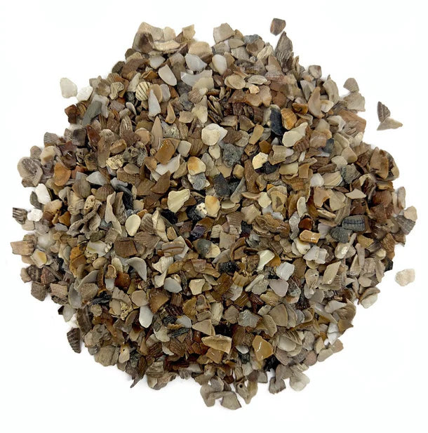 Oyster Shells 1.2kg