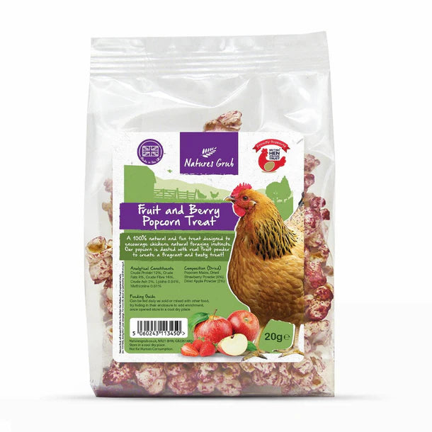 Popcorn Treats Fruit & Berry 20g