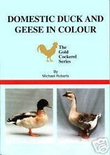 Domestic Duck and Geese In Colour